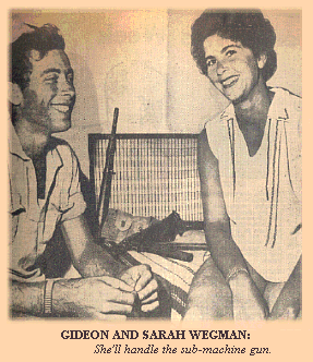 wegman